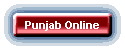 Punjab Online